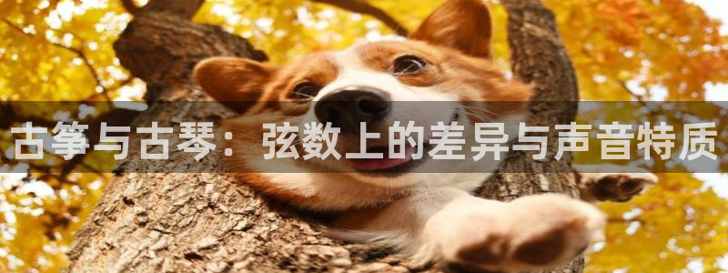 凯发平台风采