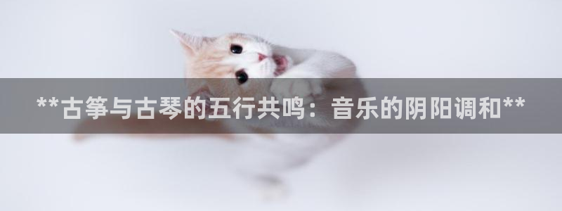 凯发k8国际手机网页