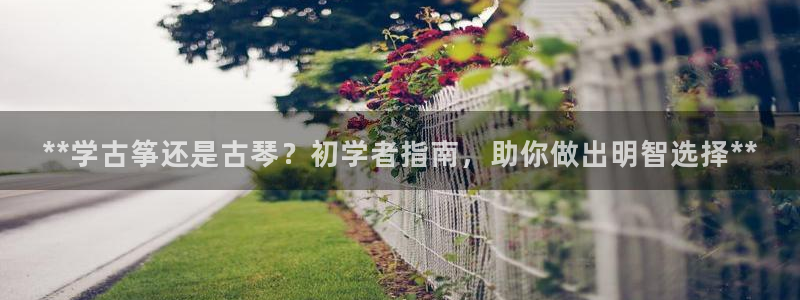 凯发网网站