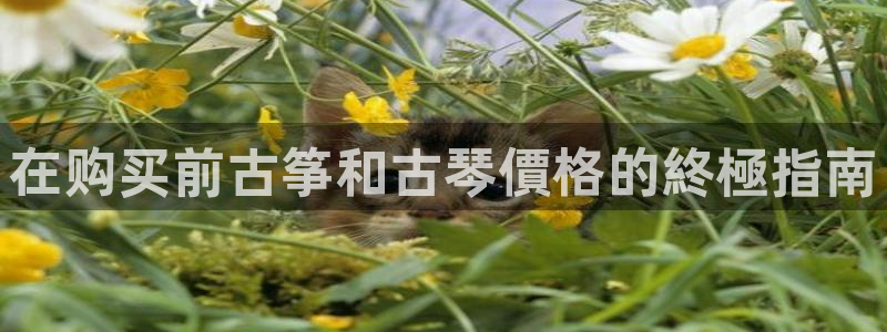 凯发k8娱乐旗舰
