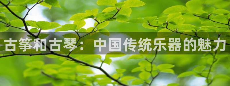 凯发k8国际|首页w来就送38元