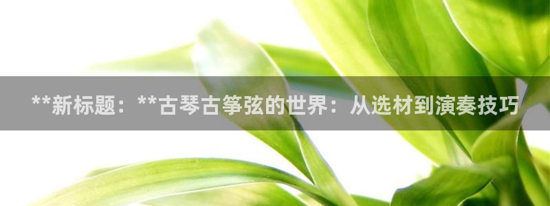 凯发娱乐官方网