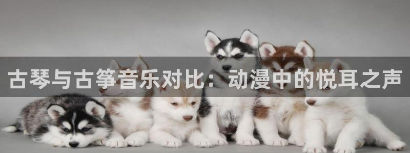 k8凯发官方找就送38