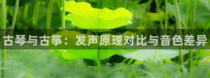 凯发k8娱乐平台网址