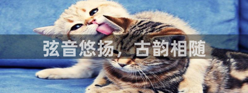 凯发k8国际真人娱乐手机app
