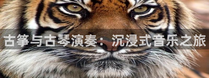 凯发k8ag85856