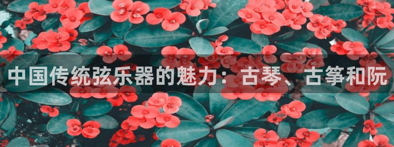 凯发娱乐官方网