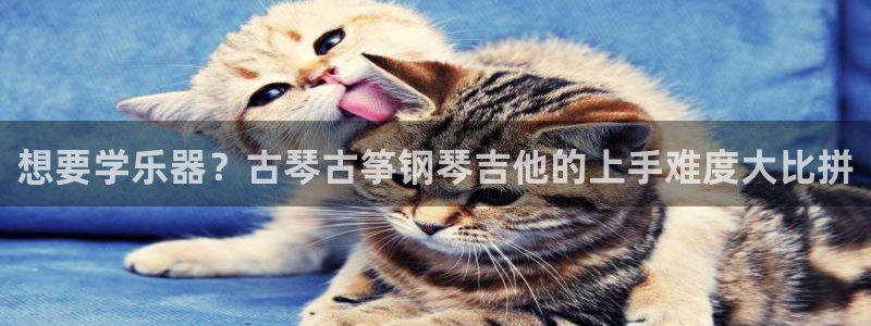 凯发国际是什么投资平台