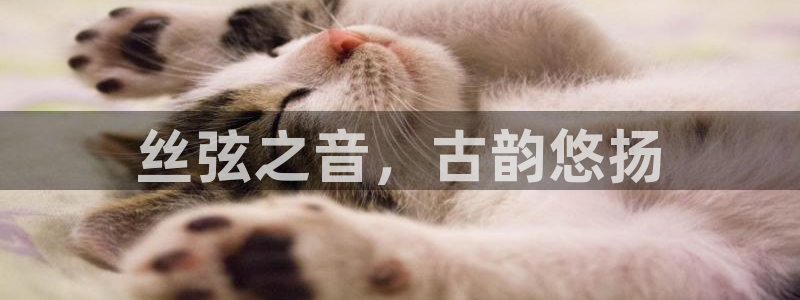 凯发k8国际 不能提款了