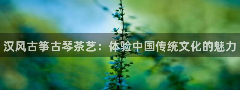凯发国际网址官网查询