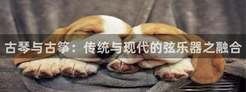 凯发k8娱乐官网网址中心