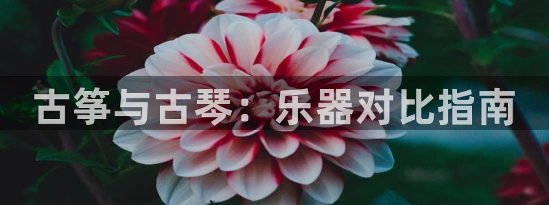 凯发注册平台安卓版下载