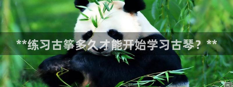 凯发k8官方