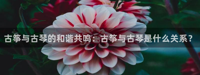 凯发k8娱乐官网最新版本