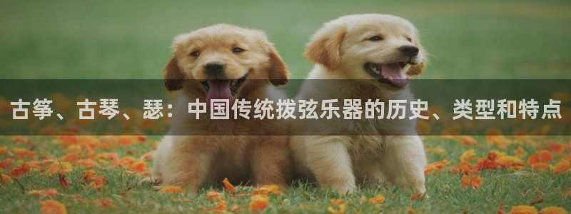 凯发k8娱乐旗舰app下载