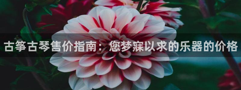凯发国际平台登录入口官网