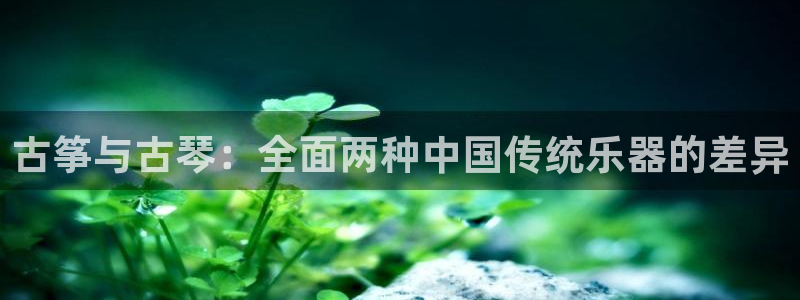 凯发k8ag85856