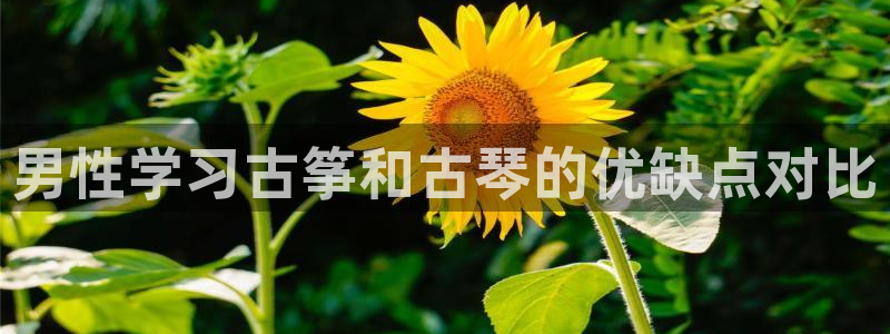凯发手机客户端下载