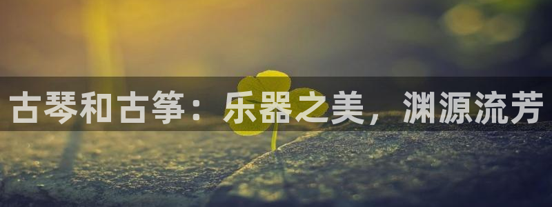凯发网网站