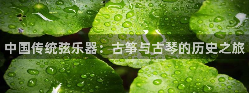 凯发官网地址