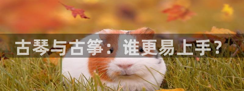 凯发国际平台首页