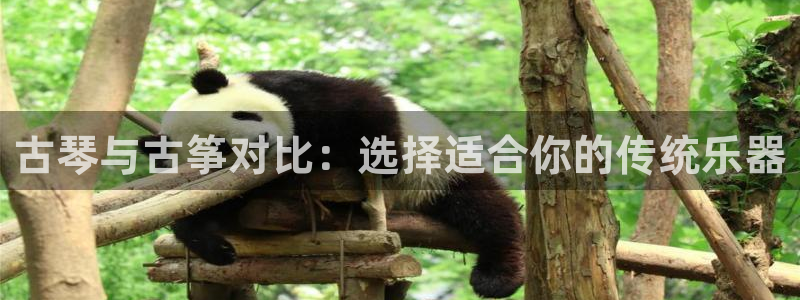 凯发在线平台官方网站