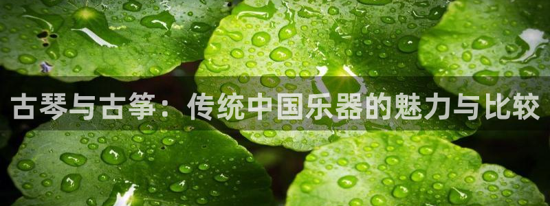 凯发一触即发