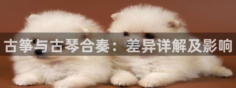 凯发k8官方网娱乐官方