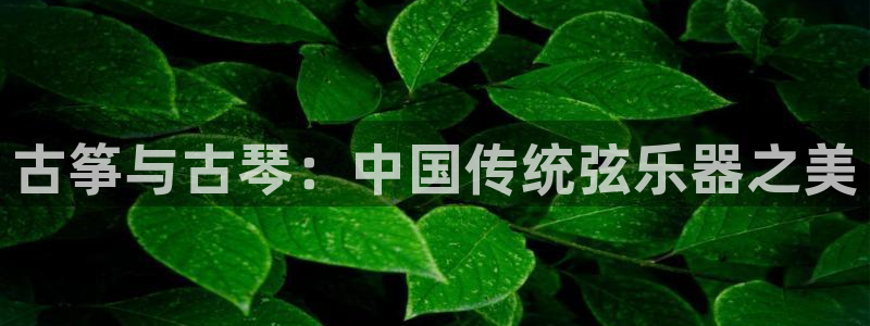 凯发k8娱乐官网旗舰厅