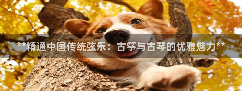 凯发k8娱乐是什么平台
