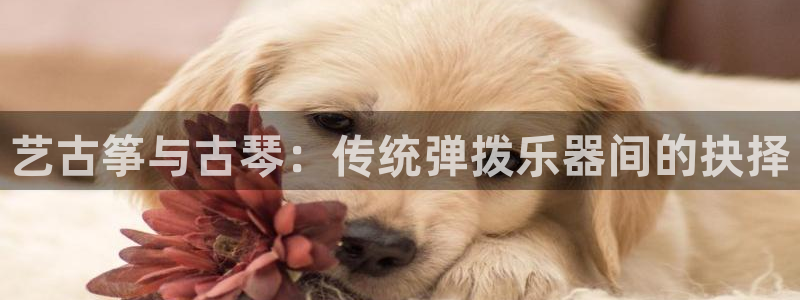 凯发娱网址是什么