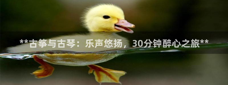 凯发线上app苹果版下载