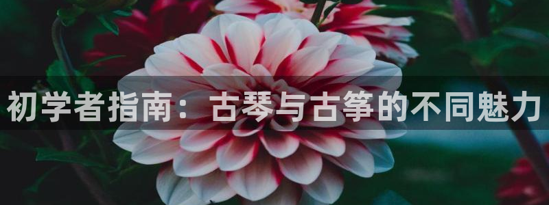 凯发k8娱乐旗舰