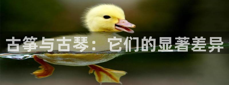 凯发官网平台