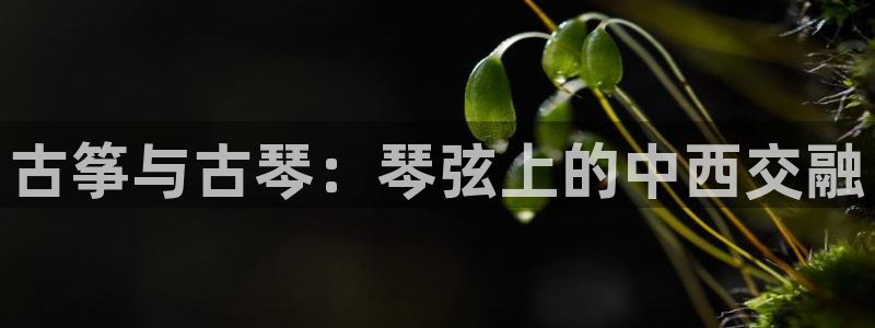 凯发k8娱乐是什么平台