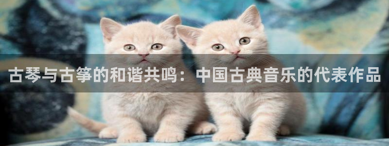 国际凯发k8真人版旗舰厅