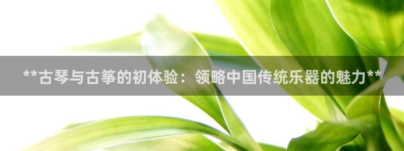 凯发k8娱乐官网网址中心