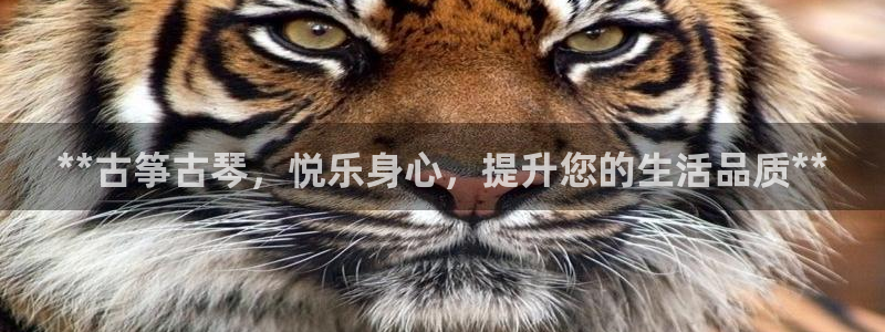 凯发旗舰客户端