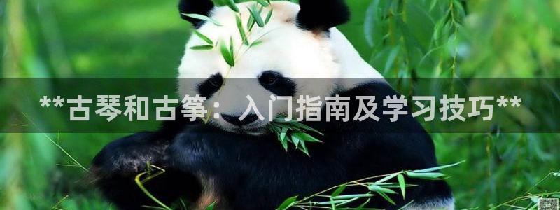 凯发k8555|手机版
