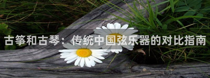 凯发k8娱乐是什么平台