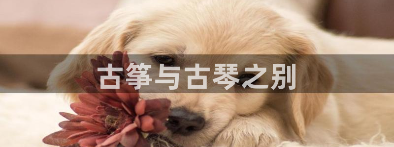 凯发娱乐k8国际