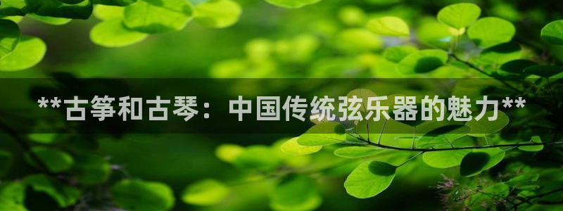 凯发k8娱乐真人旗舰厅客服
