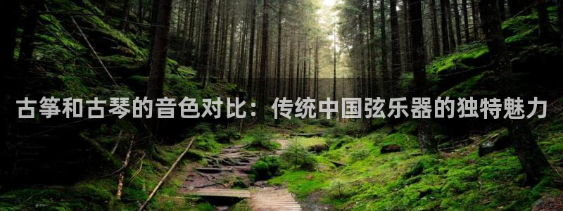 凯发网网站