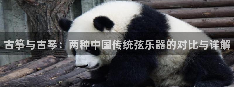 l凯发国际官网：古筝与古琴：两种中国传统弦乐器的对比与详解