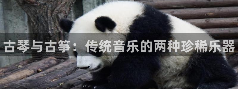 凯发K8天生赢家一触即发