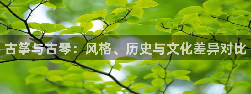 凯发k8ag85856