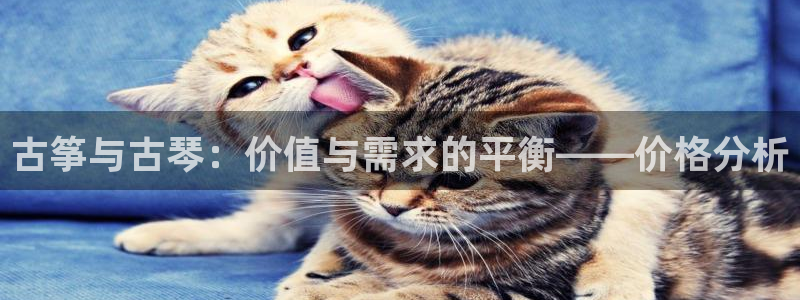 凯发k8娱乐官方版fxzls -安卓3.5：古筝与古琴：价值