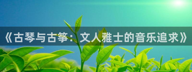 凯发k8国际 不能提款了：《古琴与古筝：文人雅士的音乐追求》