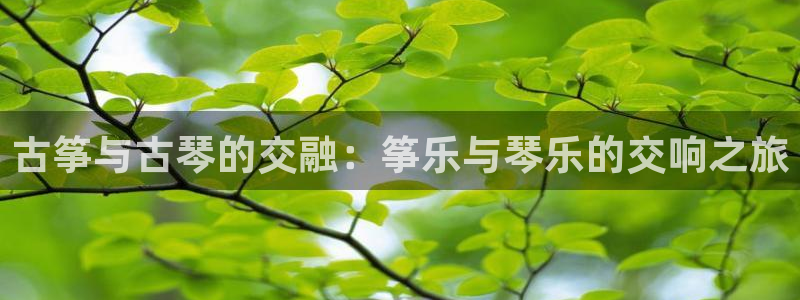 凯发国际真人：古筝与古琴的交融：筝乐与琴乐的交响之旅