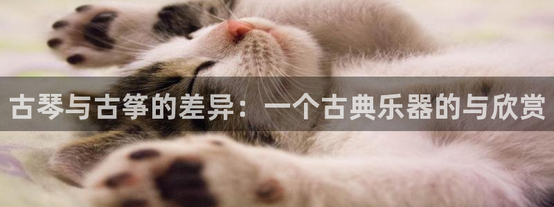 凯发k8旗舰厅yue来就送38：古琴与古筝的差异：一个古典乐
